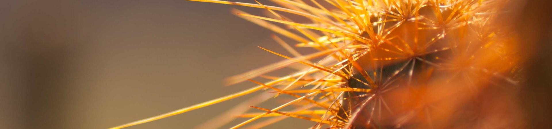  &middot; 衢州分公司